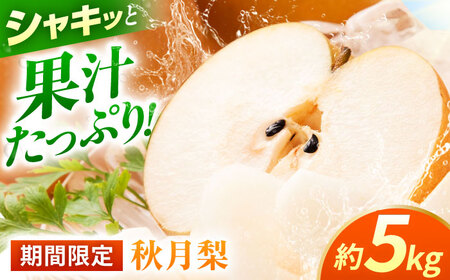 【先行予約】秋月梨　約5kg  梨 ナシ フルーツ 果物 【日本フルーツ株式会社】 [ZFJ015]