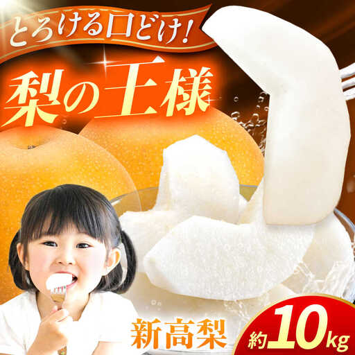 【先行予約】新高梨　約10kg  梨 ナシ フルーツ 果物 【日本フルーツ株式会社】 [ZFJ018]