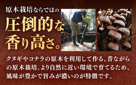 【全3回定期便】  原木 栽培 干し 椎茸 どんこ 小粒 約500g(100g×5袋) 【小春農園】[ZBN006]