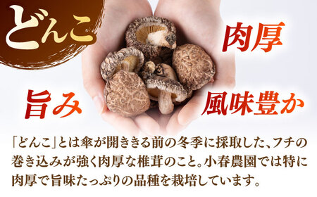 【全3回定期便】  原木 栽培 干し 椎茸 どんこ 小粒 約500g(100g×5袋) 【小春農園】[ZBN006]