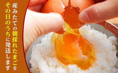 たまご 30個 約2kg【マツヤマエッグファーム】[ZAW003]