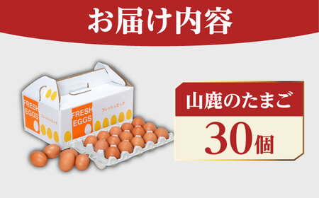たまご 30個 約2kg【マツヤマエッグファーム】[ZAW003]