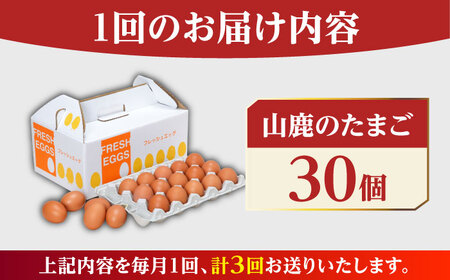 全3回定期便】 たまご 30個 約2kg【マツヤマエッグファーム】[ZAW006