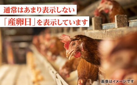 【全6回定期便】 たまご 30個 約2kg【マツヤマエッグファーム】[ZAW007]