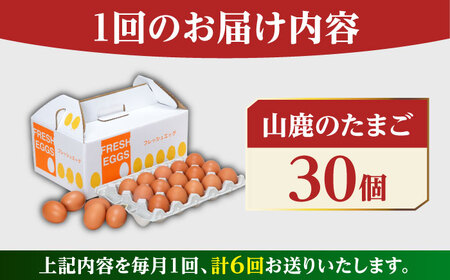 【全6回定期便】 たまご 30個 約2kg【マツヤマエッグファーム】[ZAW007]