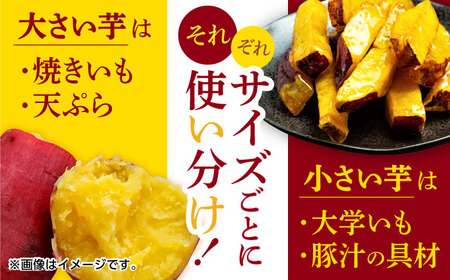 熟成紅はるか約10kg サイズバラバラ さつまいも密芋サツマイモ ZCN019