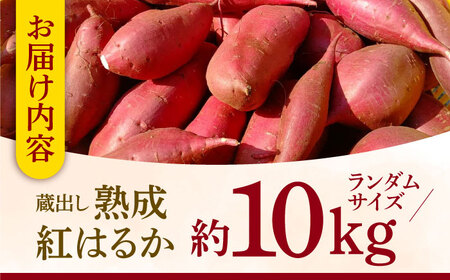 熟成紅はるか約10kg サイズバラバラ さつまいも密芋サツマイモ ZCN019
