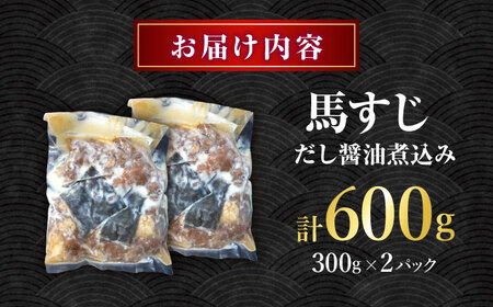 やきにく なか園特製！馬すじだし醤油煮込み 600g（300g×2pc） 【有限会社 スイートサプライなかぞの】[ZBV085]