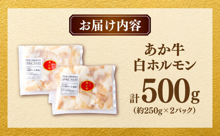 【年内発送は12月25日ご入金分まで！】あか牛 白 ホルモン 500g (250g×2P) 【合同会社　長岡フーズ】[ZFR049]