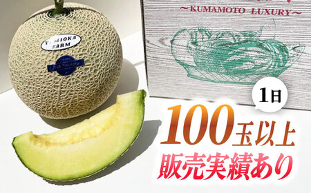【先行予約】年内発送 愛情 メロン 1玉【とみおか農園】[ZEM007]