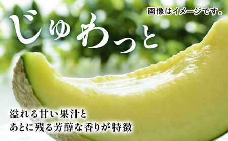 【先行予約】年内発送 愛情 メロン 1玉【とみおか農園】[ZEM007]
