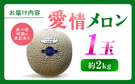 【先行予約】年内発送 愛情 メロン 1玉【とみおか農園】[ZEM007]