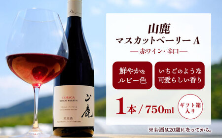 菊鹿シャルドネ&菊鹿カベルネクレーレ2023&山鹿マスカットベーリーA2024ワイン3本セット化粧箱付菊鹿ワインZFB007