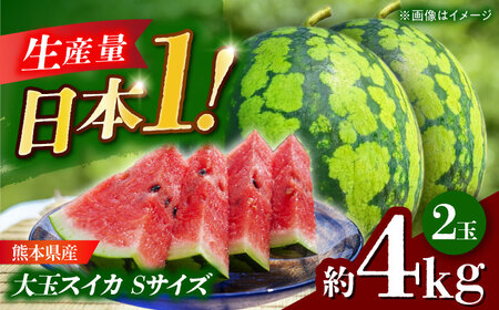 【先行予約】 大玉スイカ Sサイズ 2玉入り 約4kg  すいか 小玉 熊本 フルーツ 野菜 果物 【日本フルーツ株式会社】[ZFJ039]