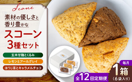 【全12回定期便】山鹿の恵み香り豊かなスコーンセット（3種類×2個）【BANBA BON BONS】[ZDW008]