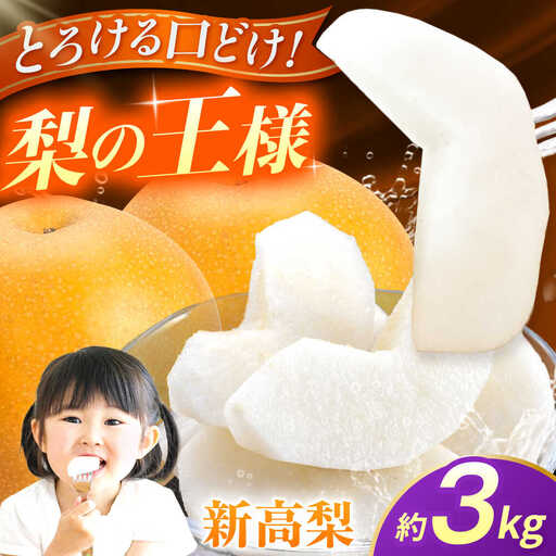 【先行予約】新高梨　約3kg 梨 ナシ フルーツ 果物 【日本フルーツ株式会社】[ZFJ064]