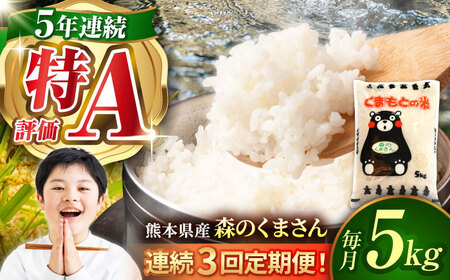 令和7年産3回定期便森のくまさん白米5kg 白米定期便ZBI036