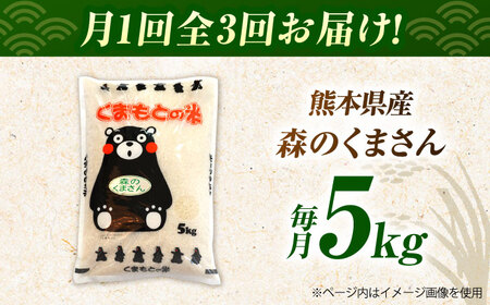 令和7年産3回定期便森のくまさん白米5kg 白米定期便ZBI036