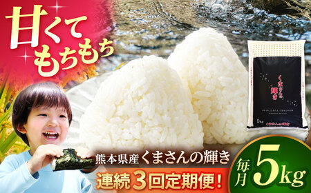 令和7年産3回定期便くまさんの輝き白米5kg 白米定期便ZBI037