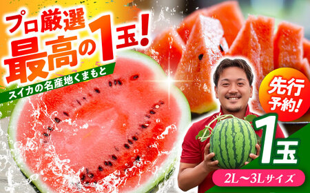 【先行予約】熊本すいか大玉2L〜3Lサイズ1玉 (約7〜9kg)[ZFV001]