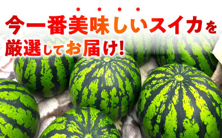 【先行予約】熊本すいか大玉2L〜3Lサイズ1玉 (約7〜9kg)[ZFV001]