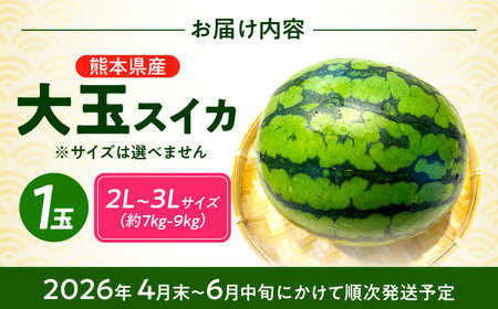 【先行予約】熊本すいか大玉2L〜3Lサイズ1玉 (約7〜9kg)[ZFV001]