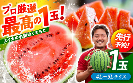 【先行予約】 大玉スイカ！ 4L～5Lサイズ（約9kg～11kg）　厳選 1玉！ すいかの名産地 熊本からお届け 【城野農園】[ZFV002]