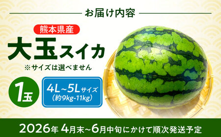 【先行予約】 大玉スイカ！ 4L～5Lサイズ（約9kg～11kg）　厳選 1玉！ すいかの名産地 熊本からお届け 【城野農園】[ZFV002]