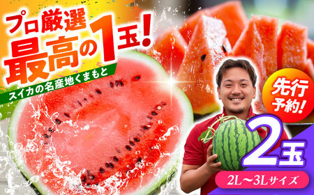 【先行予約】 厳選 2玉！ 大玉スイカ！2L～3Lサイズ（1玉 約7kg～9kg）すいかの名産地 熊本からお届け 【城野農園】[ZFV004]