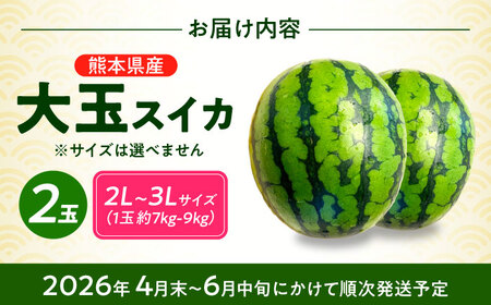 【先行予約】 厳選 2玉！ 大玉スイカ！2L～3Lサイズ（1玉 約7kg～9kg）すいかの名産地 熊本からお届け 【城野農園】[ZFV004]