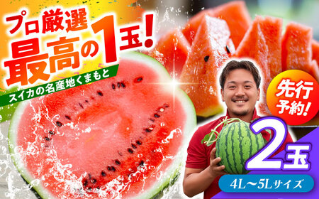 【先行予約】 厳選 2玉！ 大玉スイカ！4L～5Lサイズ（1玉 約9kg～11kg）すいかの名産地 熊本からお届け 【城野農園】[ZFV005]