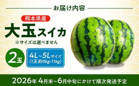 【先行予約】 厳選 2玉！ 大玉スイカ！4L～5Lサイズ（1玉 約9kg～11kg）すいかの名産地 熊本からお届け 【城野農園】[ZFV005]