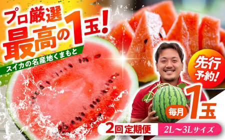 【先行予約】 【2回定期便】 大玉スイカ！2L～3Lサイズ（1玉 約7kg～9kg）　2種類楽しめる！ 1玉入りを2回お届け！ 【城野農園】[ZFV006]