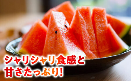 【先行予約】 【2回定期便】 大玉スイカ！2L～3Lサイズ（1玉 約7kg～9kg）　2種類楽しめる！ 1玉入りを2回お届け！ 【城野農園】[ZFV006]