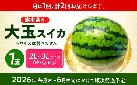 【先行予約】 【2回定期便】 大玉スイカ！2L～3Lサイズ（1玉 約7kg～9kg）　2種類楽しめる！ 1玉入りを2回お届け！ 【城野農園】[ZFV006]