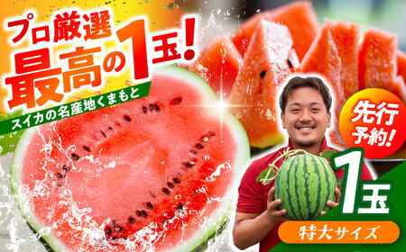 【先行予約】 大玉スイカ！ 特大サイズ（約11kg以上）　厳選 1玉！ すいかの名産地 熊本からお届け 【城野農園】[ZFV003]
