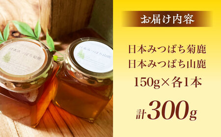 日本みつばち菊鹿・山鹿 計2本セット 【山麓はっち】 はちみつ 蜂蜜 ハチミツ [ZBM005]