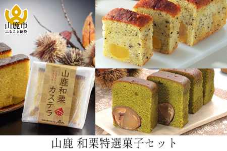 AT02 山鹿和栗洋菓子店An(杏) 和栗特選菓子セット(カステラ・テリーヌ2種・フィナンシェ2種)