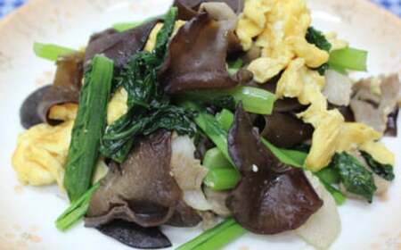 乾燥 きくらげ セット 45g×2袋、20g×2袋【株式会社 地の塩社】[ZAN001]