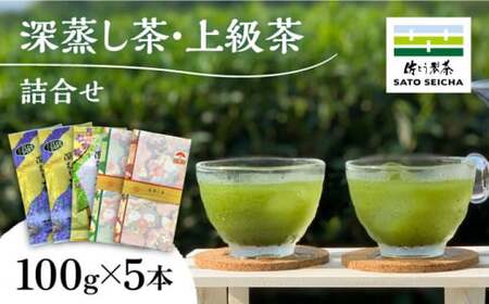 深蒸し茶 上級茶 詰合せ 100g×5本セット 【有限会社 佐とう製茶】[ZAS001]