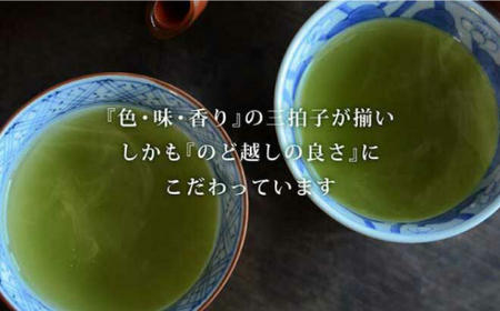 自家用茶佐とうの深蒸し茶お勧め6点セット 【有限会社 佐とう製茶】[ZAS006]