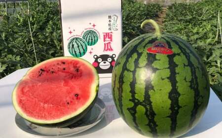 【先行予約】【初夏に実った贈り物】大玉 スイカ 約7kg【なかむら農園】[ZBH001]
