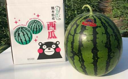 【先行予約】【初夏に実った贈り物】大玉 スイカ 約7kg【なかむら農園】[ZBH001]