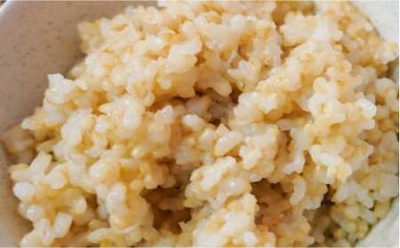 〈令和7年度産米〉米 菊鹿の米アイガモ農法米玄米2kg×2袋 令和7年産ZBI001