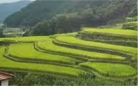 〈令和7年度産米〉米 菊鹿の米アイガモ農法米玄米2kg×2袋 令和7年産ZBI001