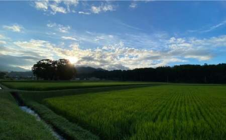 玄米 カイロ YOHEHO 肩掛け・紺【山麓はっち】[ZBM002]