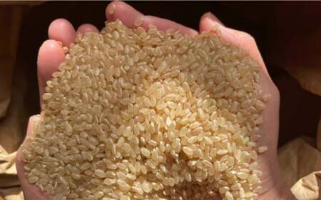 玄米 カイロ YOHEHO 座布団・グレー【山麓はっち】[ZBM007]