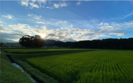 玄米 カイロ YOHEHO 座布団・紺【山麓はっち】[ZBM009]