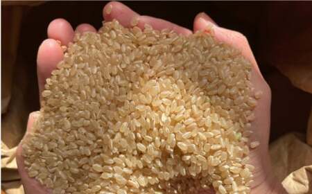 玄米 カイロ YOHEHO 座布団・紺【山麓はっち】[ZBM009]