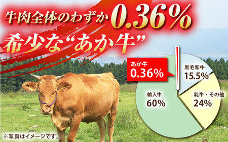 【数量限定】肥後の赤牛 ハンバーグ 約150g×10個【山鹿食品企画】 赤牛 くまもと 熊本 ハンバーグ 冷凍 赤うし [ZBO002]